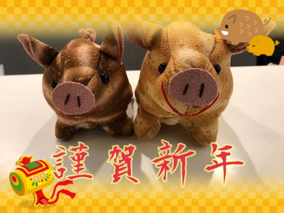 2019年